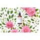 EVOLVE Daily Defence Moisture Mist | Tónico Anti-Irritaciones