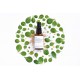 EVOLVE Superfood 360 Serum | Serum