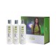 PACK ICON DETOX CHAMPU ENERGY ACONDICIONADOR AWAKE Y TRATAMIENTO SHIFT DETOX PELO GRASO ELIMINA CASPA Y DESCAMACION MIPELAZO PACK ICON DETOX CHAMPU ENERGY ACONDICIONADOR AWAKE Y TRATAMIENTO SHIFT DETOX PELO GRASO ELIMINA CASPA Y DESCAMACION MIPELAZO