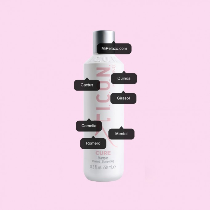 ICON Cure Champú
