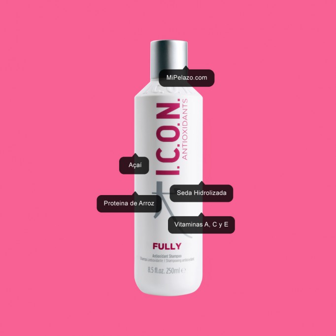 Champú Fully ICON 250 ml para pelo fino