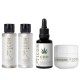 Pack CBD OIL + minis regalo 60 ml Pack CBD OIL + minis regalo 60 ml