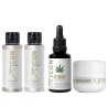 Pack CBD OIL + minis regalo 60 ml