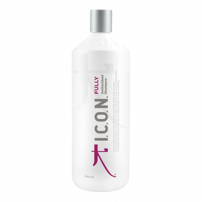 Pack ICON Fully 1000 ml + Free conditioner + Infusion