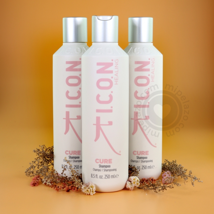 ICON Cure Champú