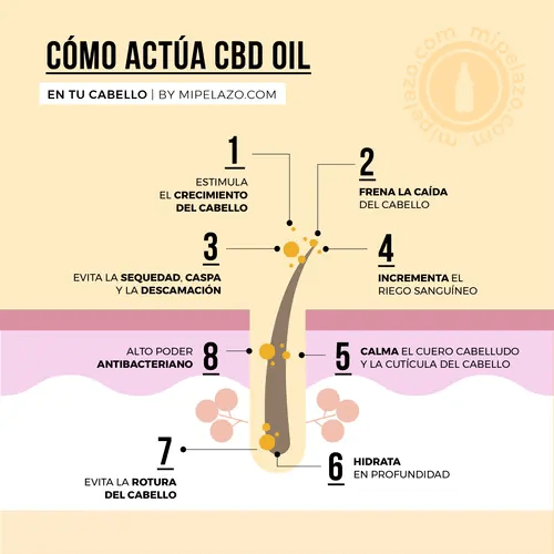 COMO ACTUA EL ACEITE ORGANICO ICON