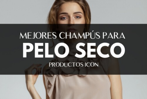 Mejores Champus Para Pelo Seco