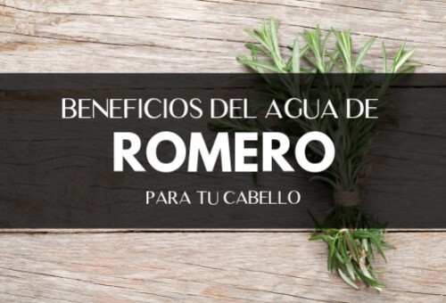Agua de Romero para el cabello ¡descubre cómo usarlo y aplicarlo correctamente! 
