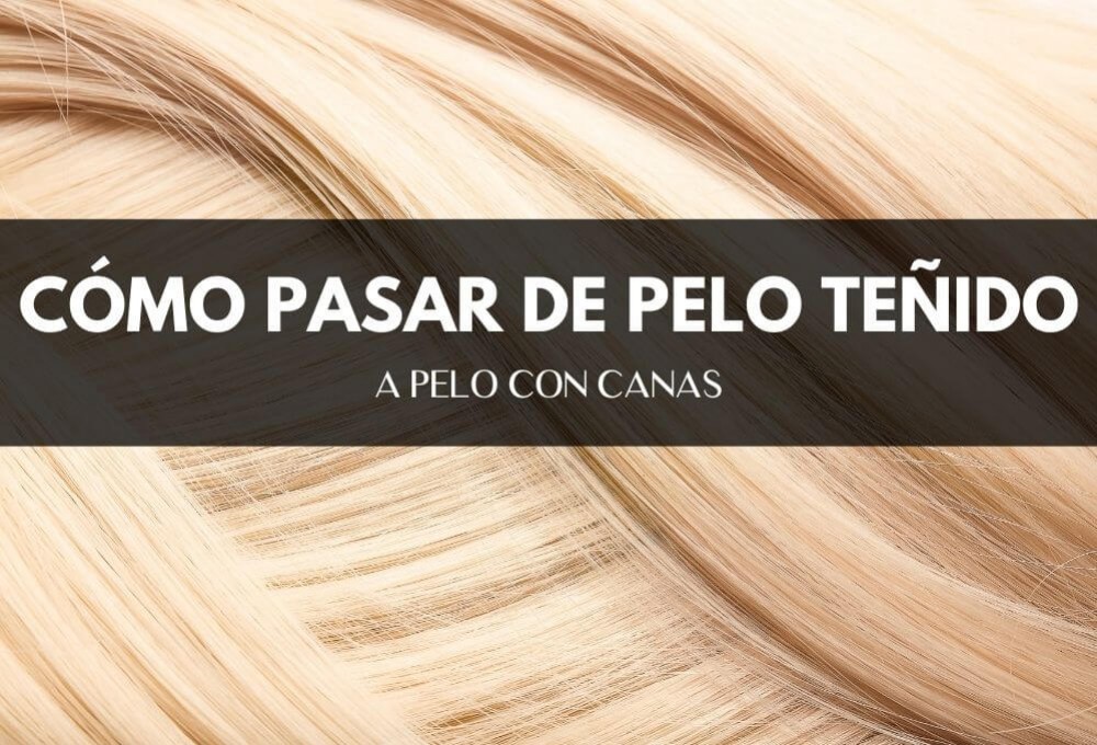 Museo Guggenheim Traer solapa Cómo pasar de pelo teñido a pelo con canas - MiPelazo.com