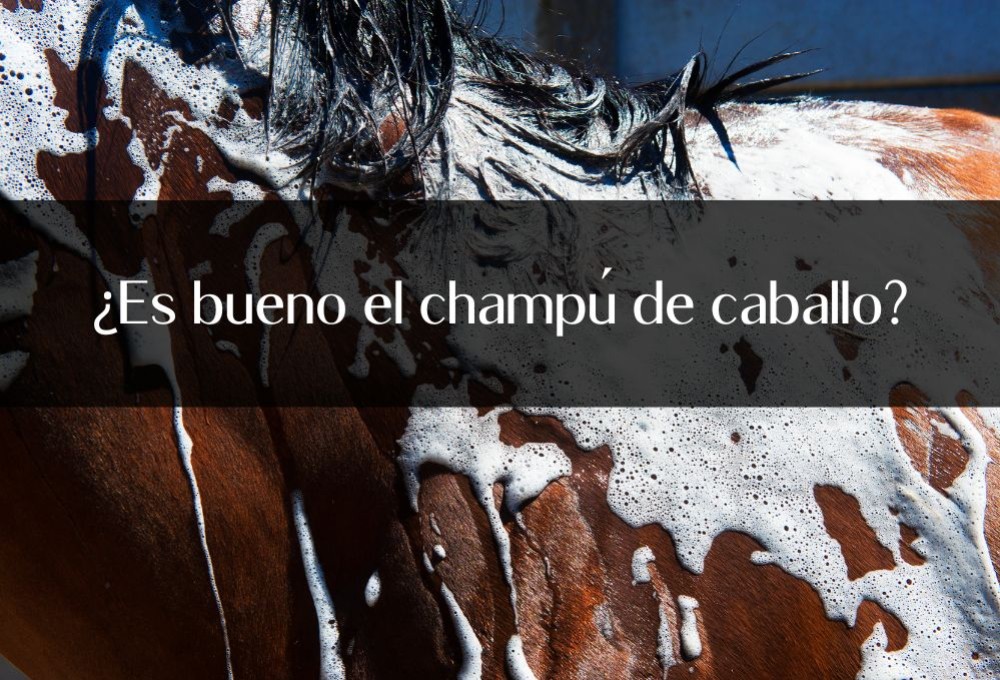 ¿Es bueno el champú de caballo?