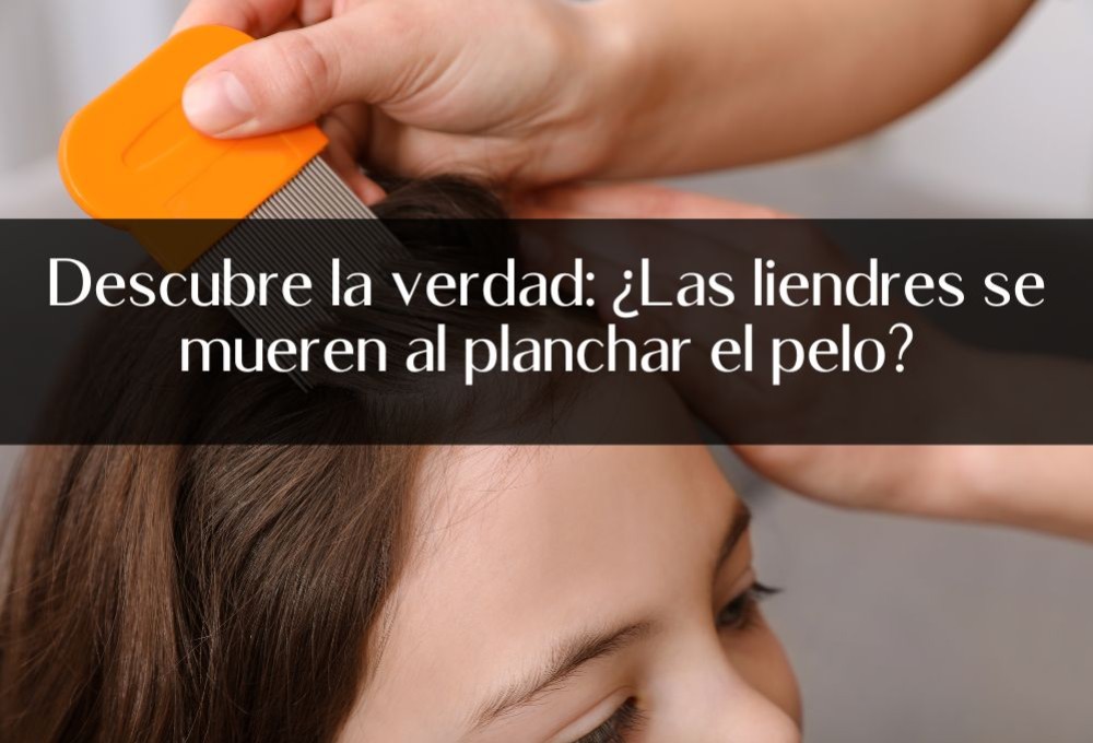 Descubre la verdad: ¿Las liendres se mueren al planchar el pelo?