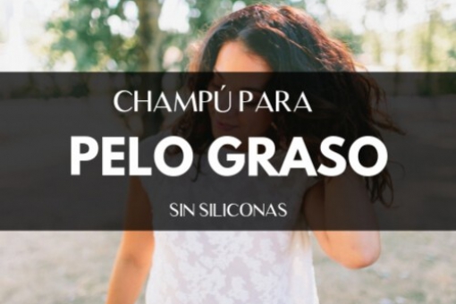 CHAMPÚ PARA PELO GRASO SIN SILICONAS
