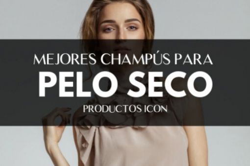 Mejores Champus Para Pelo Seco
