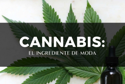 Cannabis: El ingrediente de moda